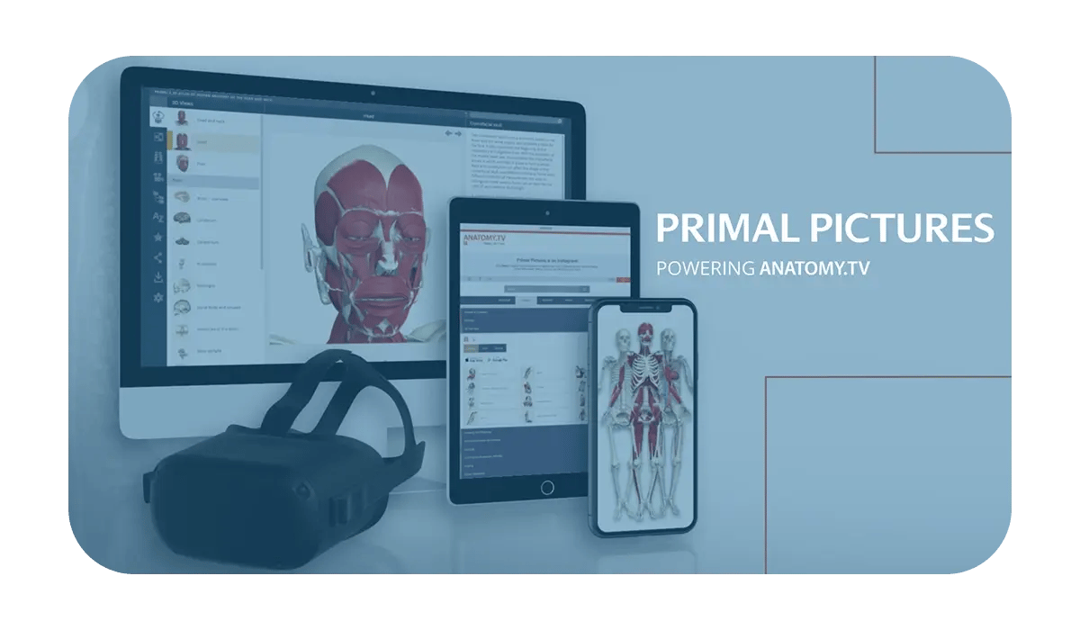 GME Contact Email Image- Primal